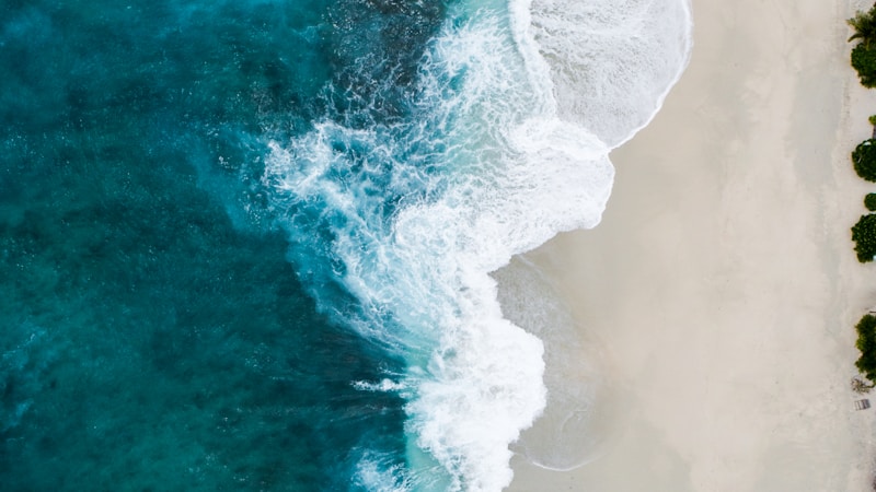 🌊 delta88